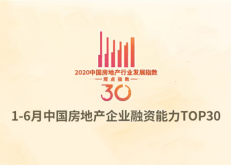 1-6月中国房企融资能力TOP30报告